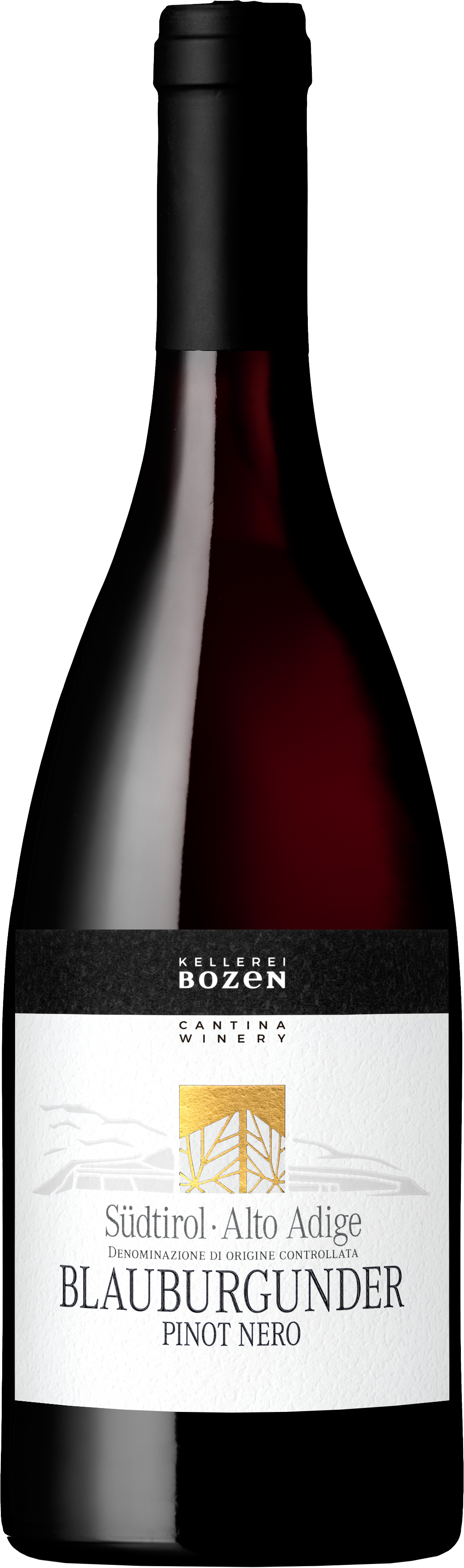 Pinot-Nero Blauburgunder Pinot Nero DOC 2023