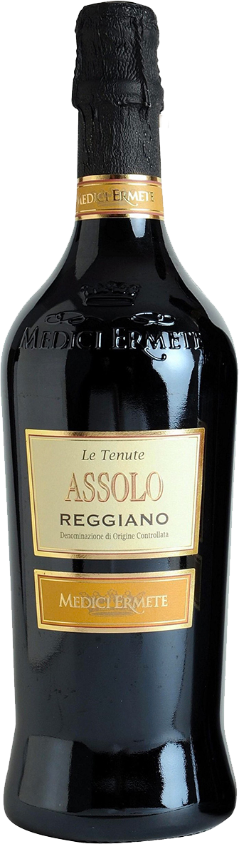 Assolo-Lambrusco-Reggiano-secco Medici Ermete Assolo Lambrusco Reggiano Secco DOC 2020