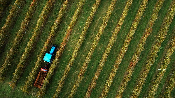 DJI_0055_klein