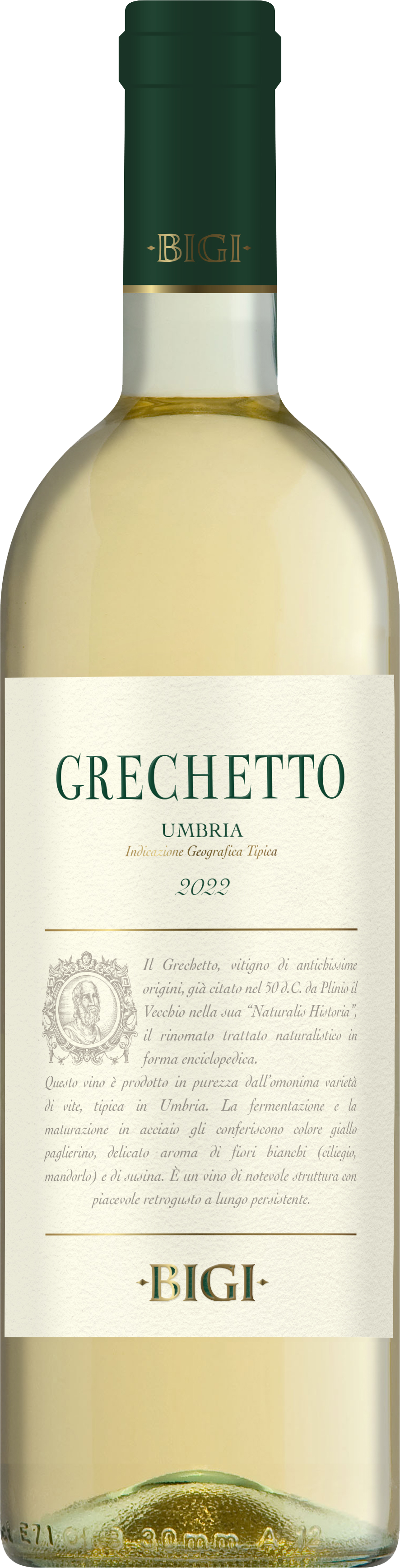 Grechetto-Umbria-Restyling Grechetto Umbria IGT 2023