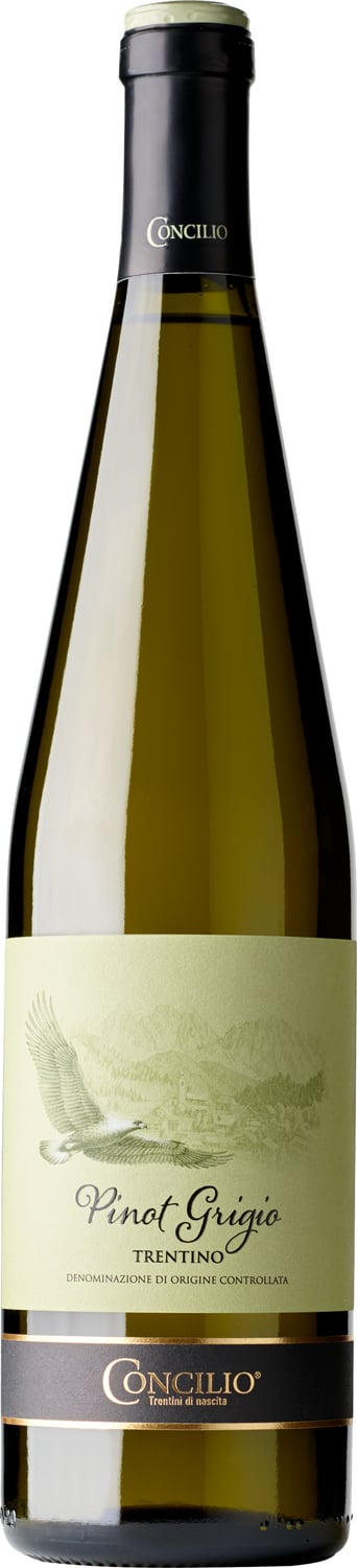 Classici Pinot Grigio Trentino DOC 2022