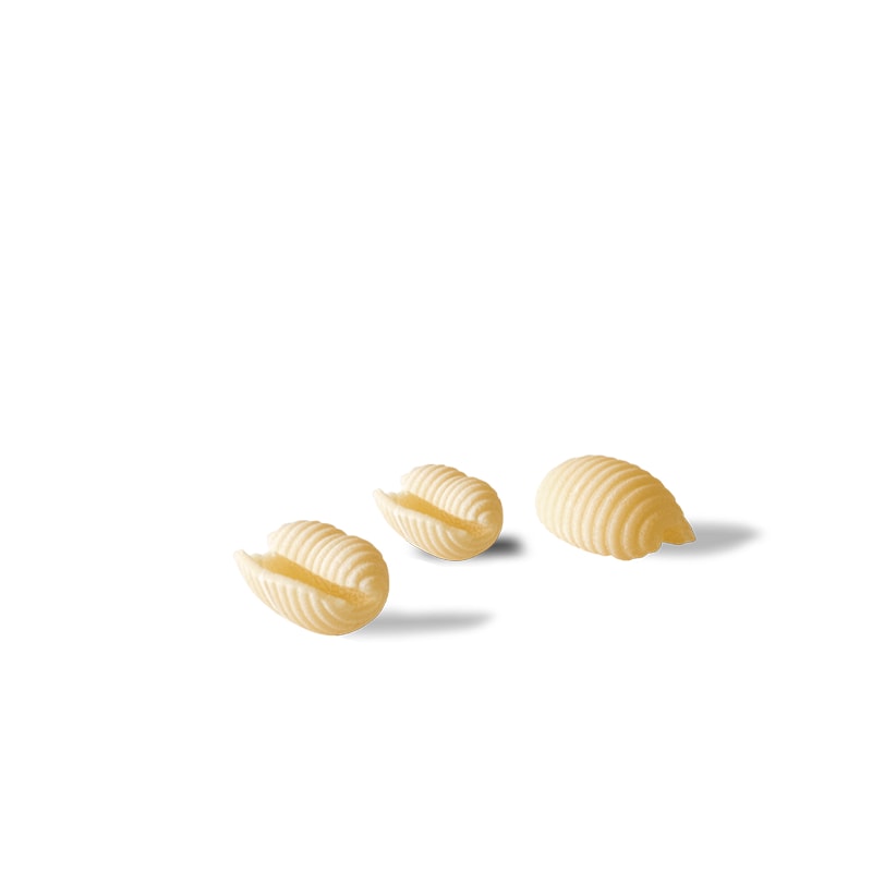 gnocchetti-gentileVR3TTkGU3buZ4