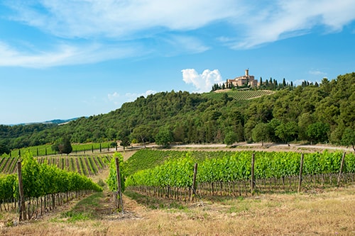 Panorama_Castello_Banfi_photographed_by_I-_Franchini_HR