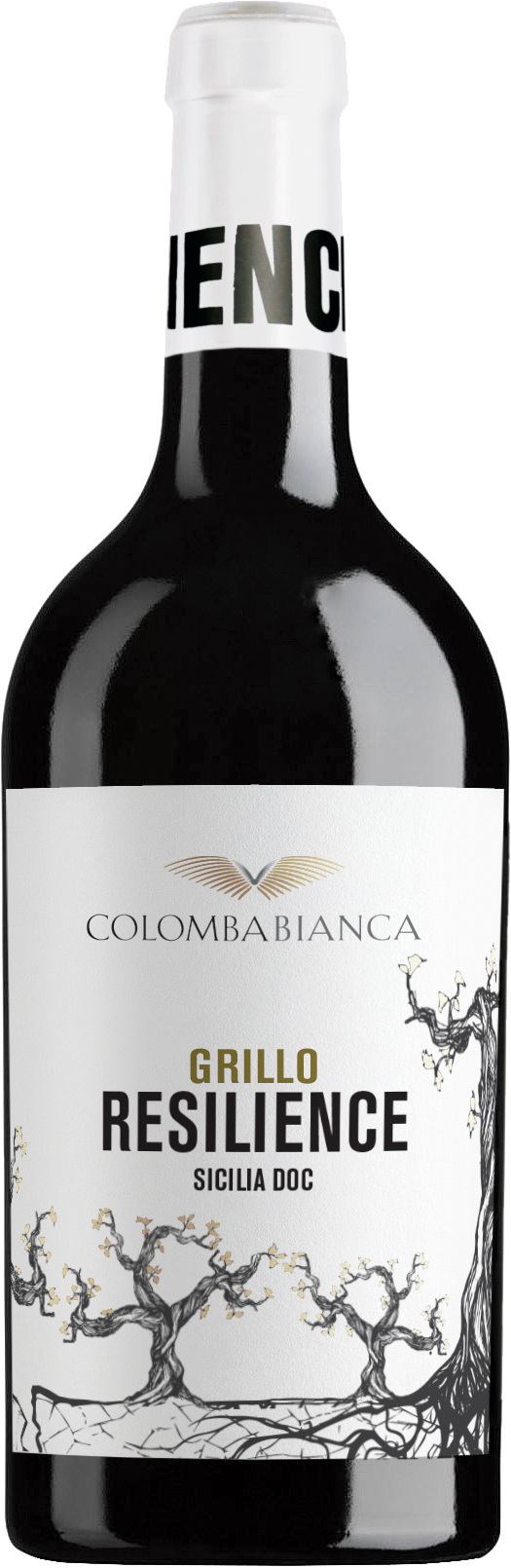 Resilience-GrillodXo9yloMlzraj Colomba Bianca Resilience Grillo Sicilia DOC 2021