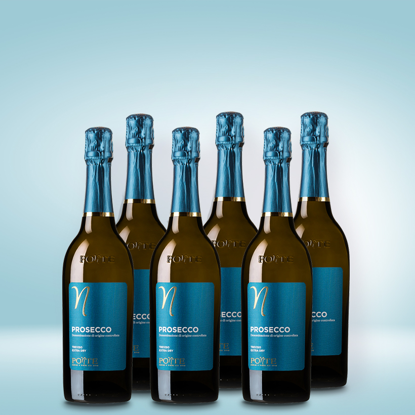 Prosecco-Treviso-Extra-Dry-6er-Weinpaket_820x820 Prosecco Treviso Extra Dry 6er Vorratspaket