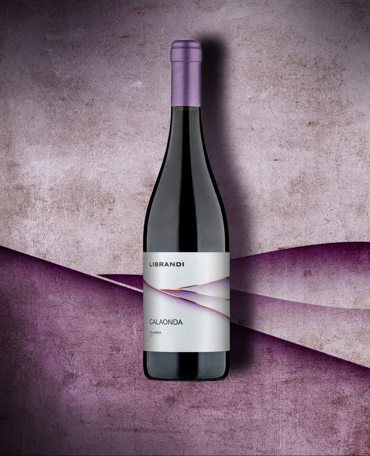 333216771_3021175674857898_3160566764740096118_n