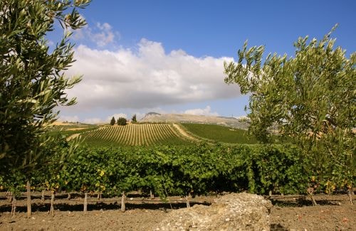 Pandolfina_Donnafugata_ph_Pakula_500px