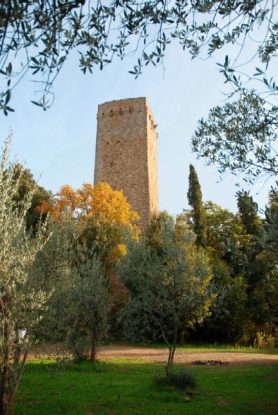Galatrona Wein