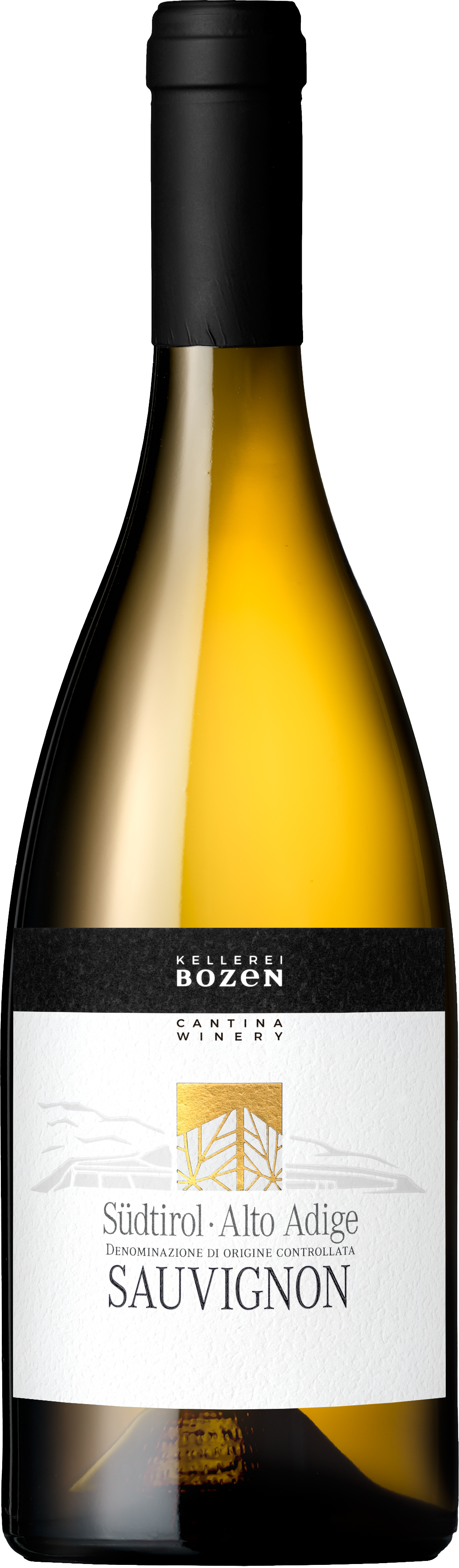 SauvignonDydXaPSJFVhqc Bozen Sauvignon DOC 2021