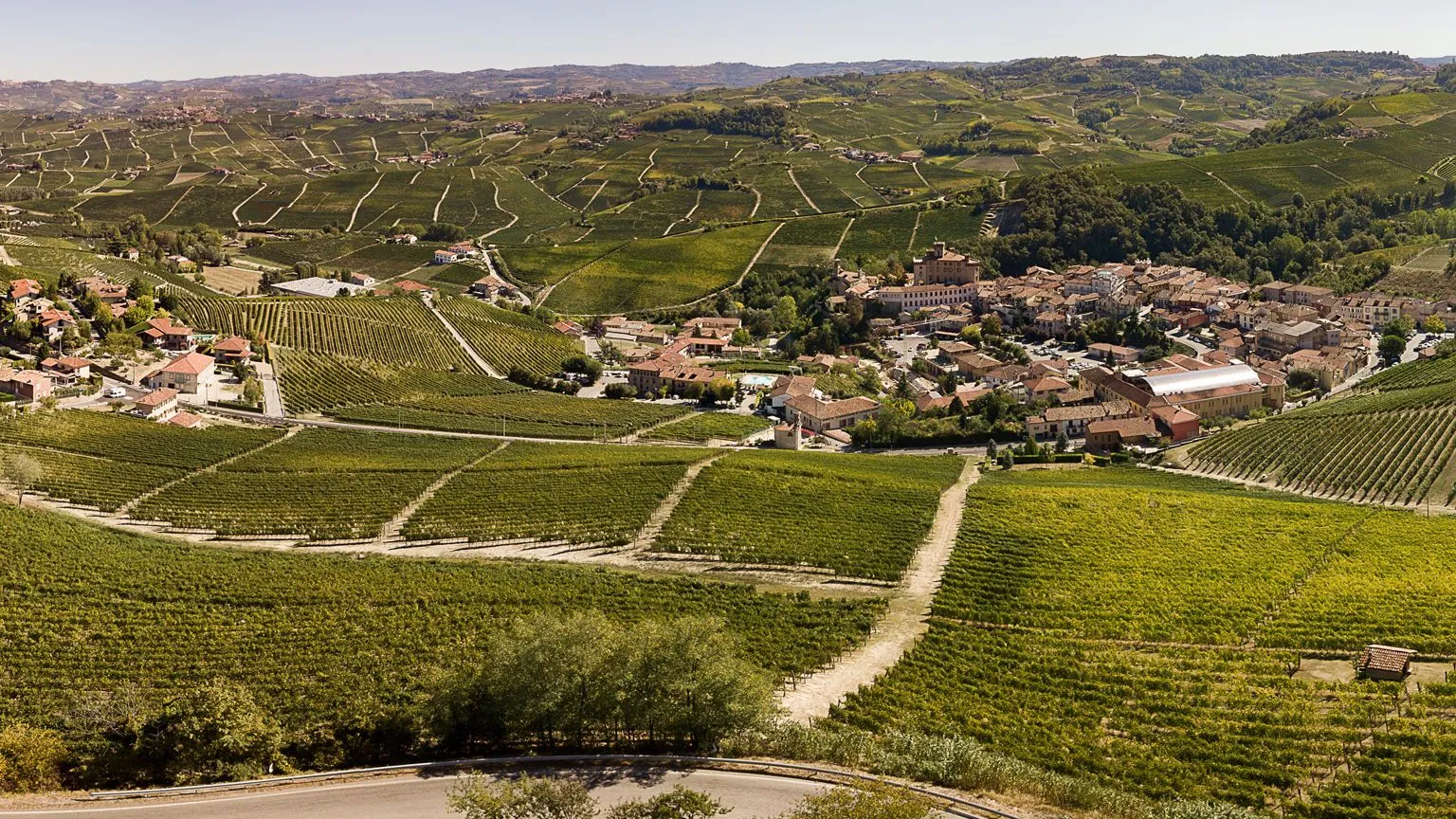 Weinberge in Barolo