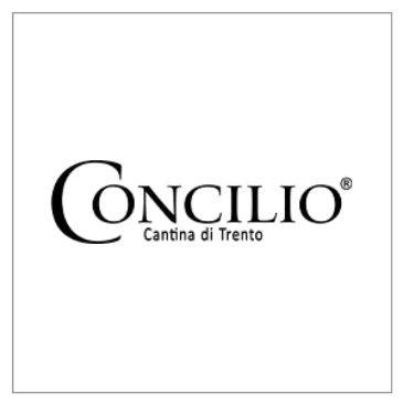 Concilio