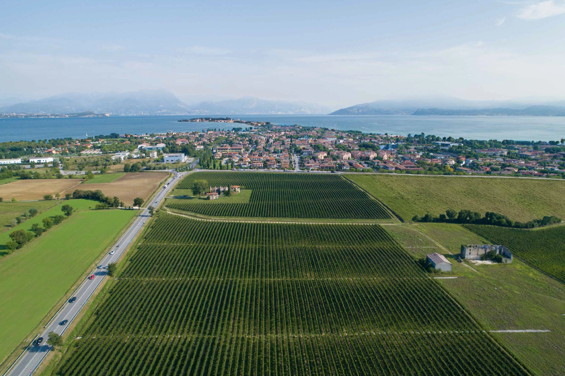 Wein Terroir Le Fornaci