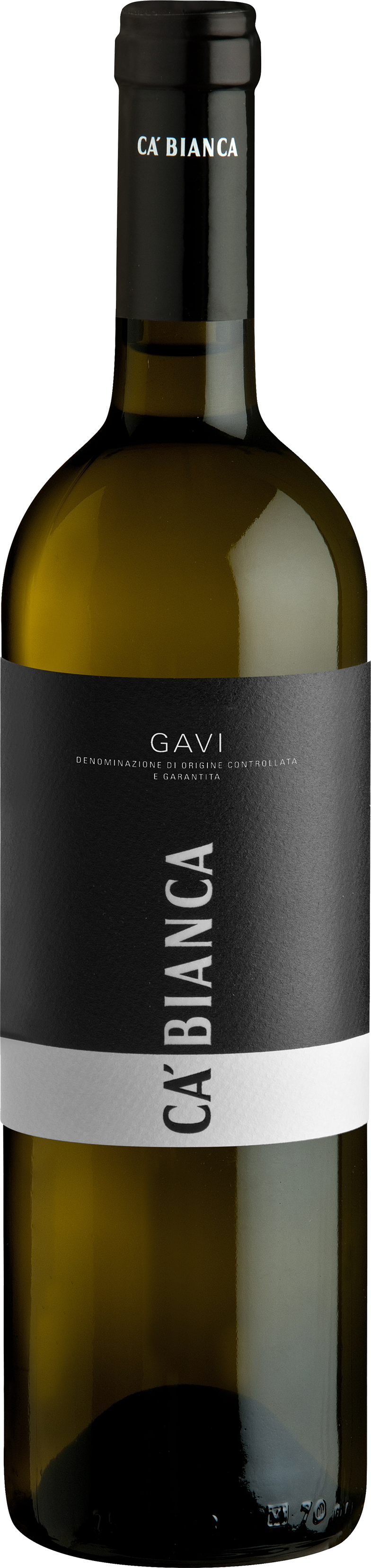 GaviQyYChq5CBfsvv Gavi DOCG 2023