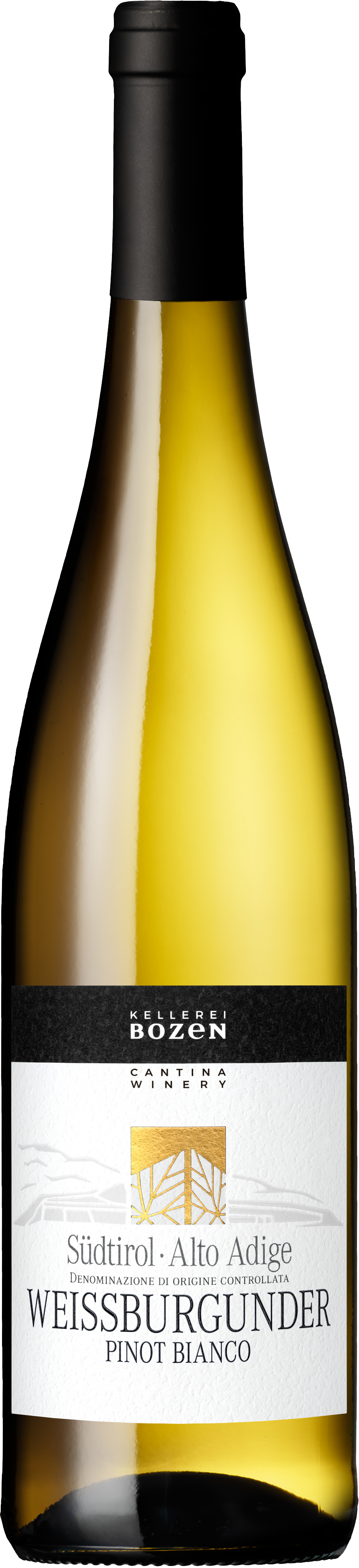 Weissburgunder-Pinot-Bianco4sQbHwnMmo0Wi Weißburgunder Pinot Bianco DOC 2024