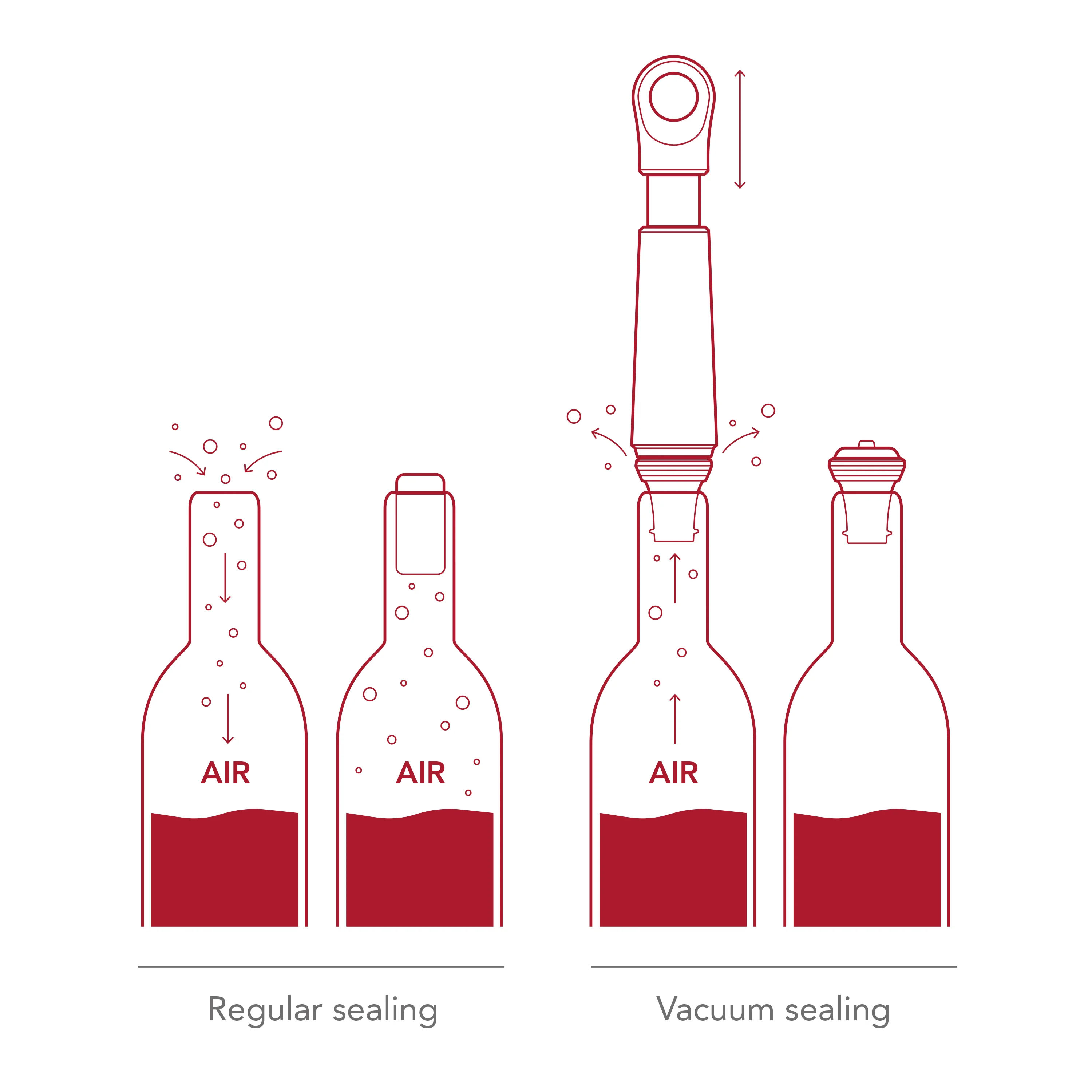 Wein-Vakuumpumpe Loop graphit