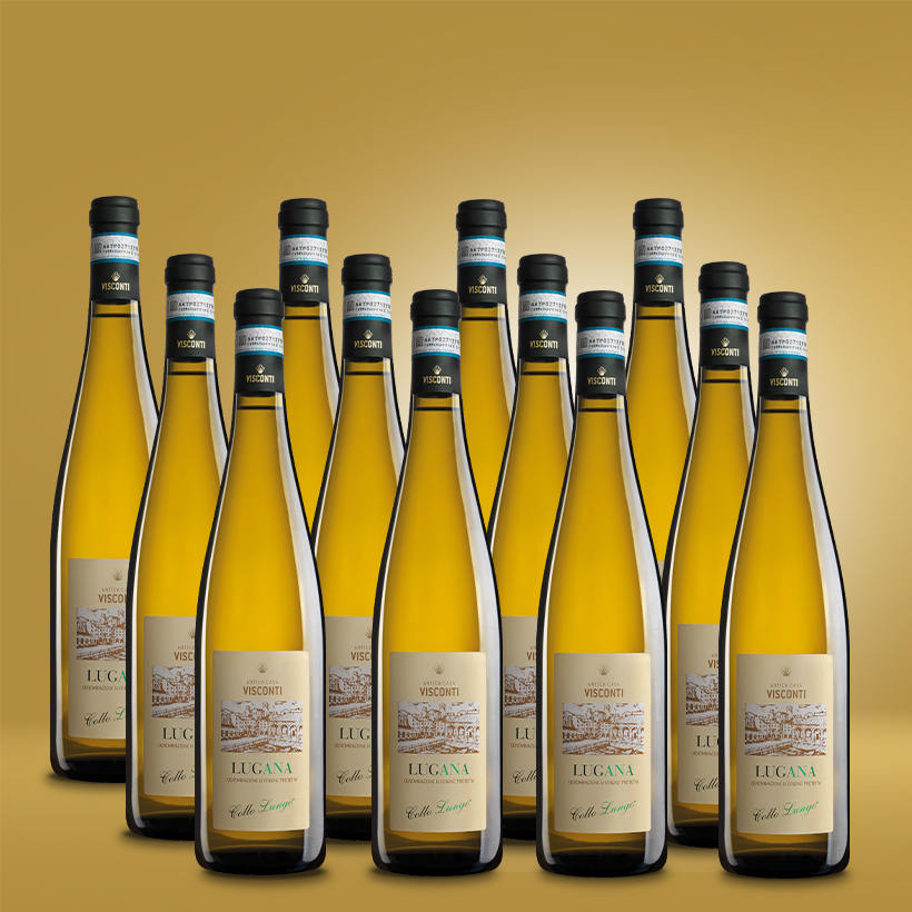 Lugana Collo Lungo 12er Vorratspaket