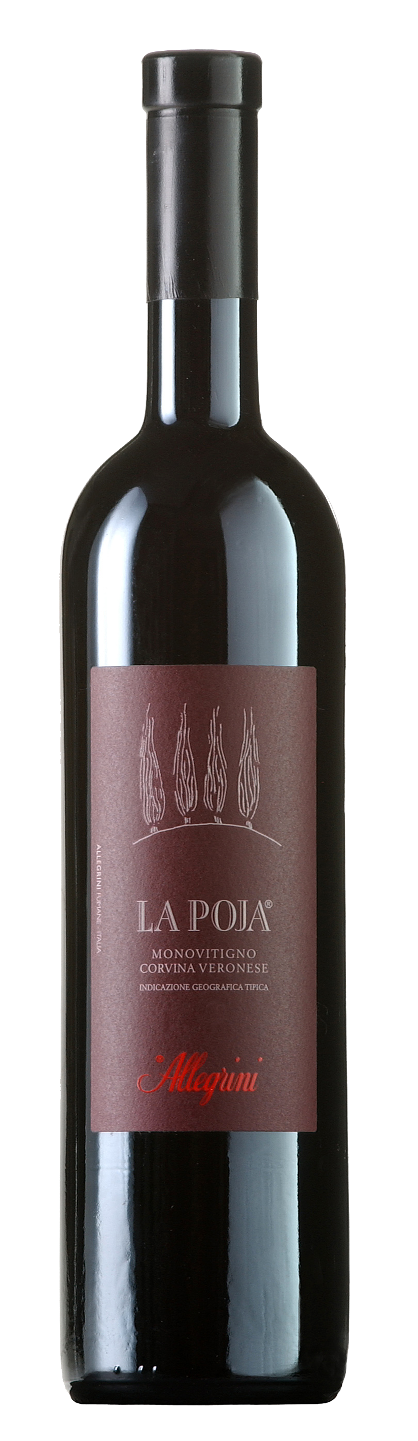 La-Poja La Poja Veronese IGT 2010