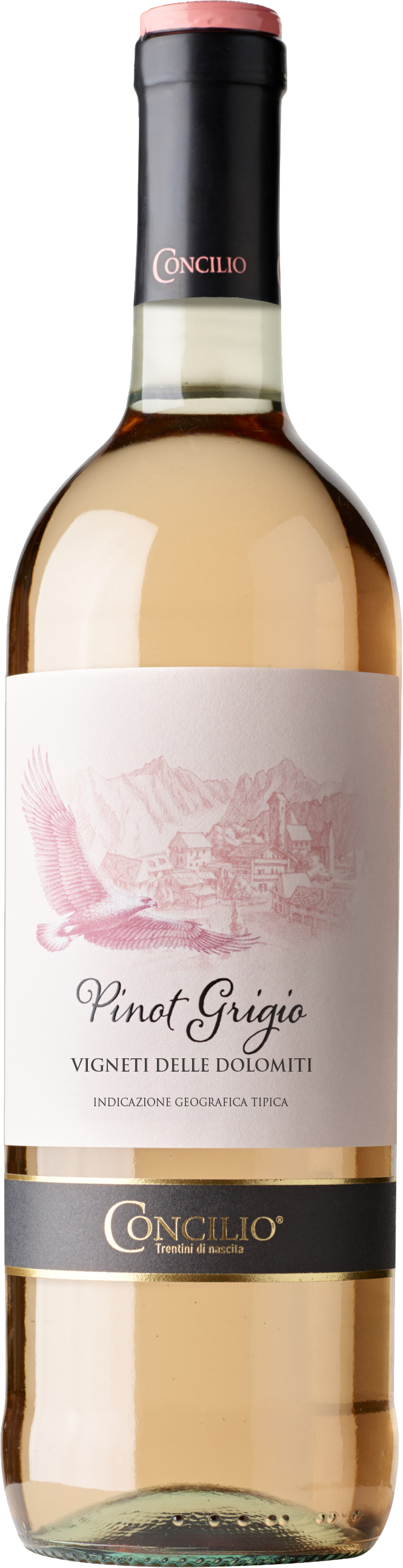 pinot-grigio-vdd-rosato-nativi Classici Pinot Grigio delle Dolomiti Rosé IGT 2024