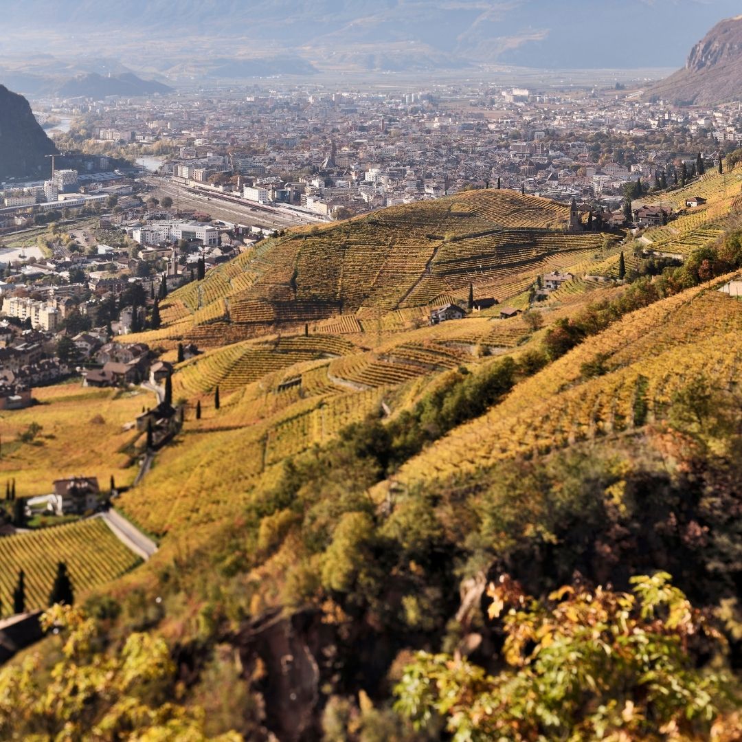 Landschaftsbild von Bozen