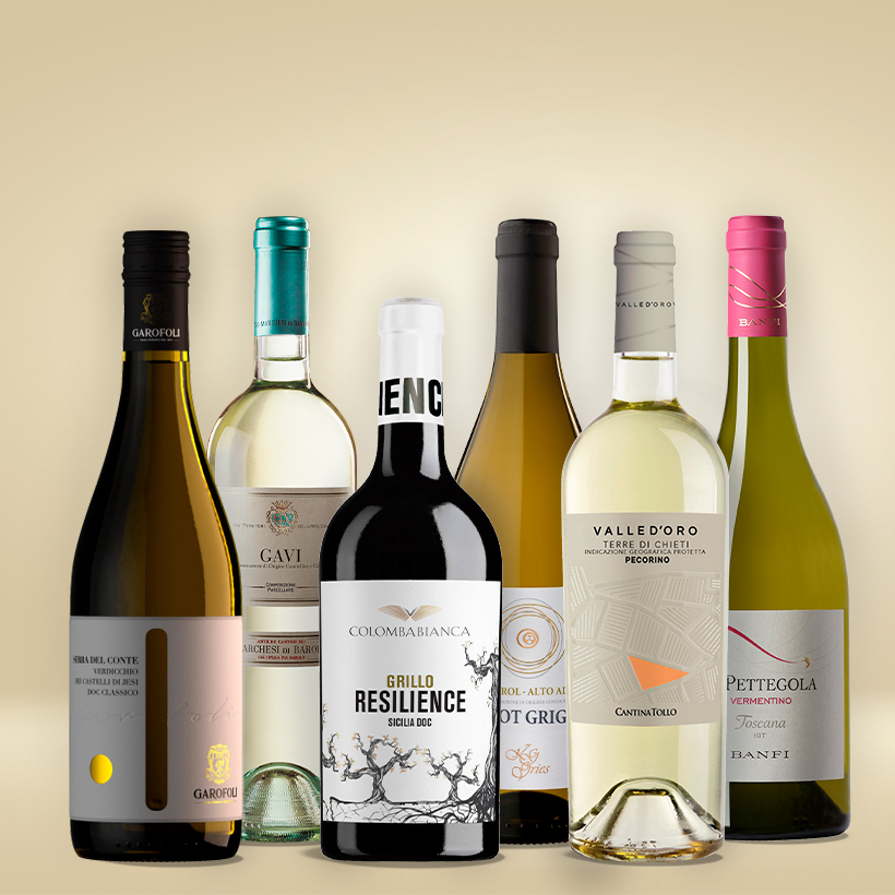 Weisswein-Expedition-Weinpaket_820x820 Weißwein-Expedition durch Italien