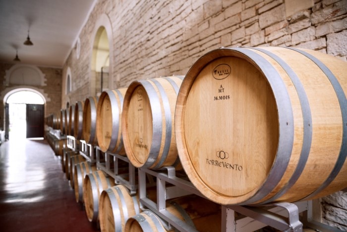 primitivo-puglia-torrevento