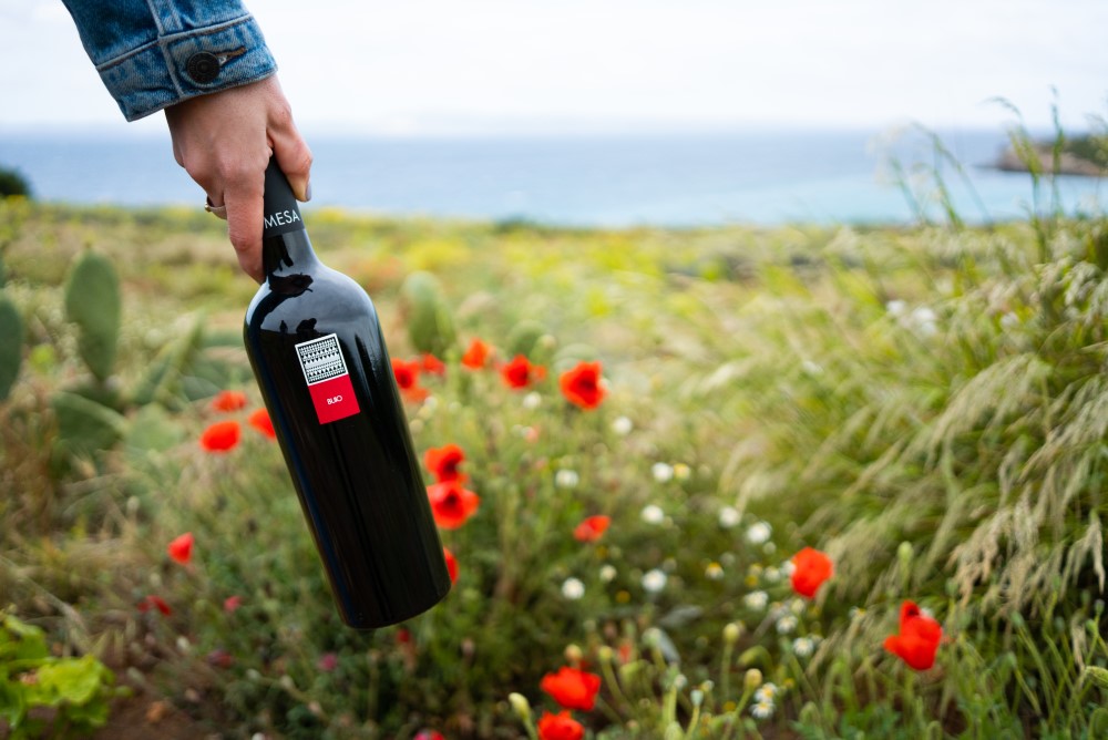 Hand hält eine Flasche Cantina Mesa Buio, im Hintergrund Blumen und Meer
