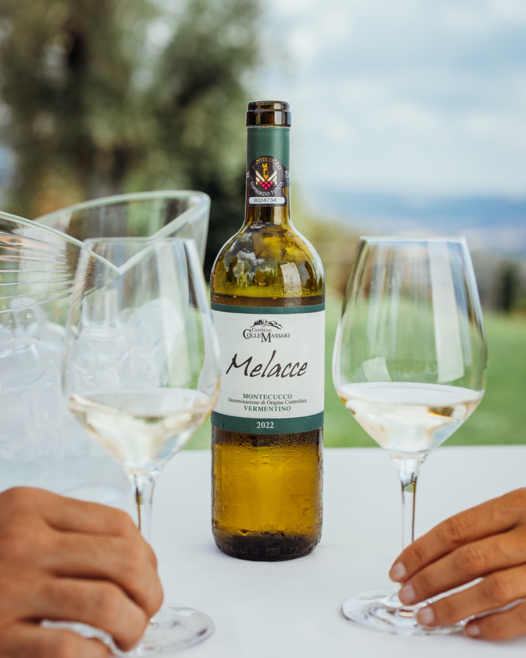 2 Hände halten Weißweinglas, eine Flache BIO Melacce Maremma Vermentino DOC von Colle Masasari in der Mitte