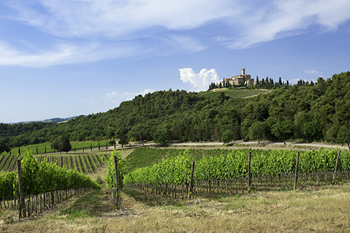Panorama_Castello_Banfi_photographed_by_I-_Franchini_HR
